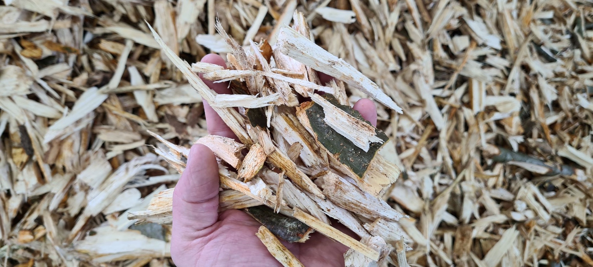 Compost roto-shredder